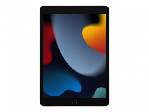 Apple iPad 10,2 (2021) - Wi-Fi only - 256 GB - Grau