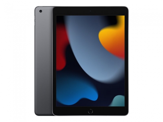 Apple iPad 10,2 (2021) - Wi-Fi only - 64 GB - Grau