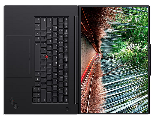 ThinkPad P1 Gen 8 21Q80000GE