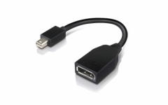 lenovo Mini-DisplayPort to DisplayPort Adapter 4X90L13971