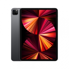 Apple iPad Pro (2021) 11 - Wi-Fi + Cellular - 128 GB - Space Grau