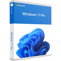 Microsoft Windows 11 Pro. OEM