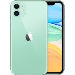 Apple iPhone 11 64 GB Grün MHDG3ZD/A