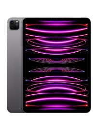 Apple iPad Pro (2022) 11 - Wi-Fi only - 256 GB - Space Grau MNXF3FD/A